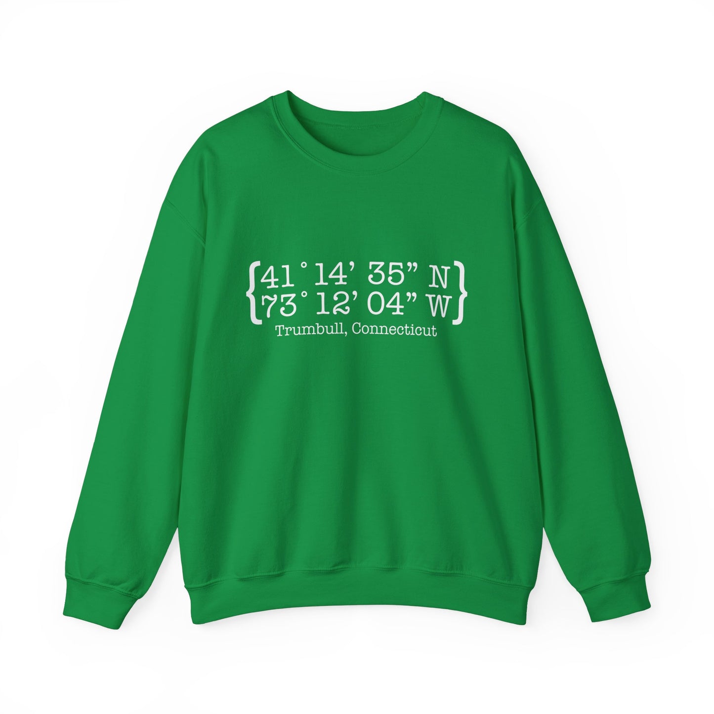 Trumbull Coordinates Unisex Heavy Blend™ Crewneck Sweatshirt