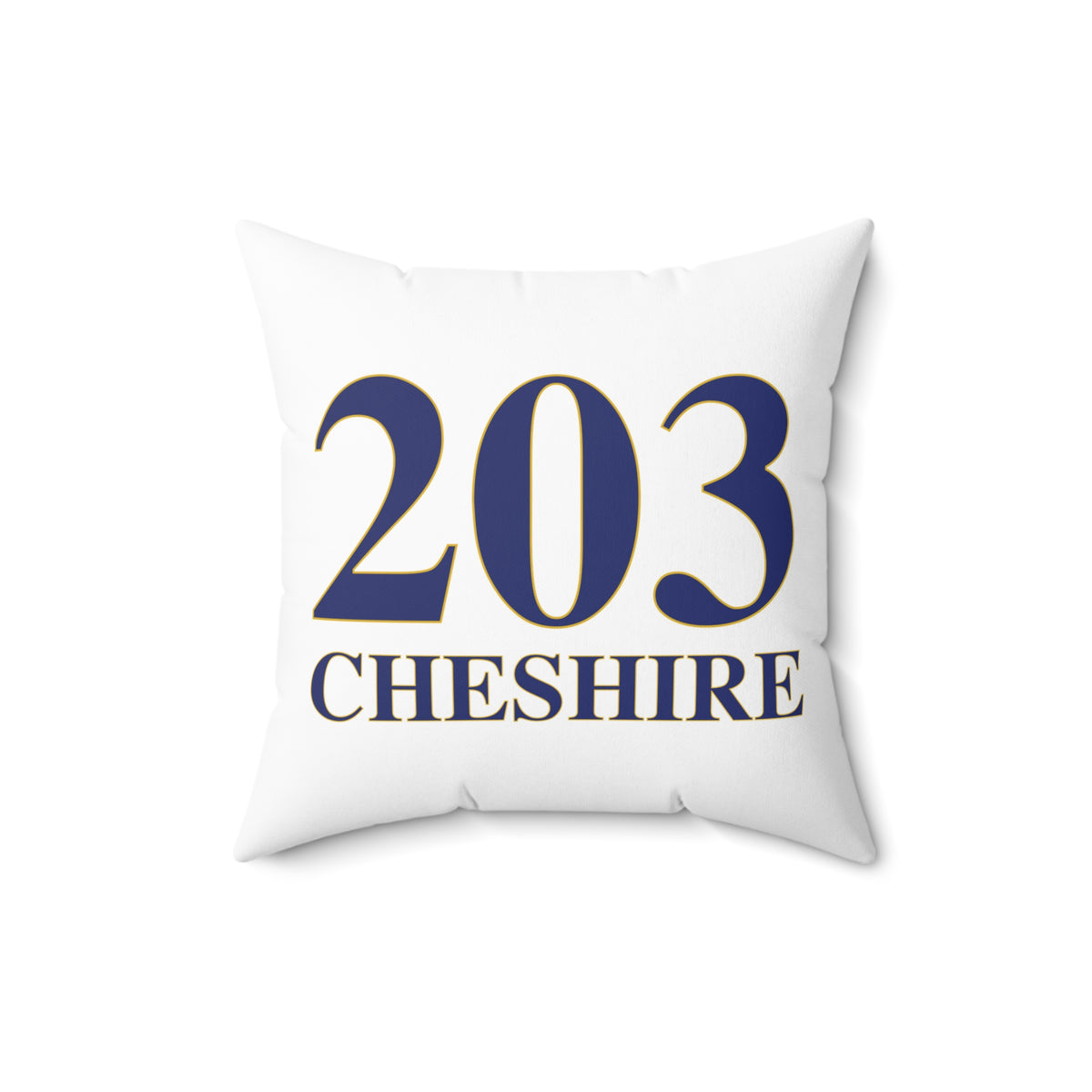 203 Cheshire Polyester Square Pillow