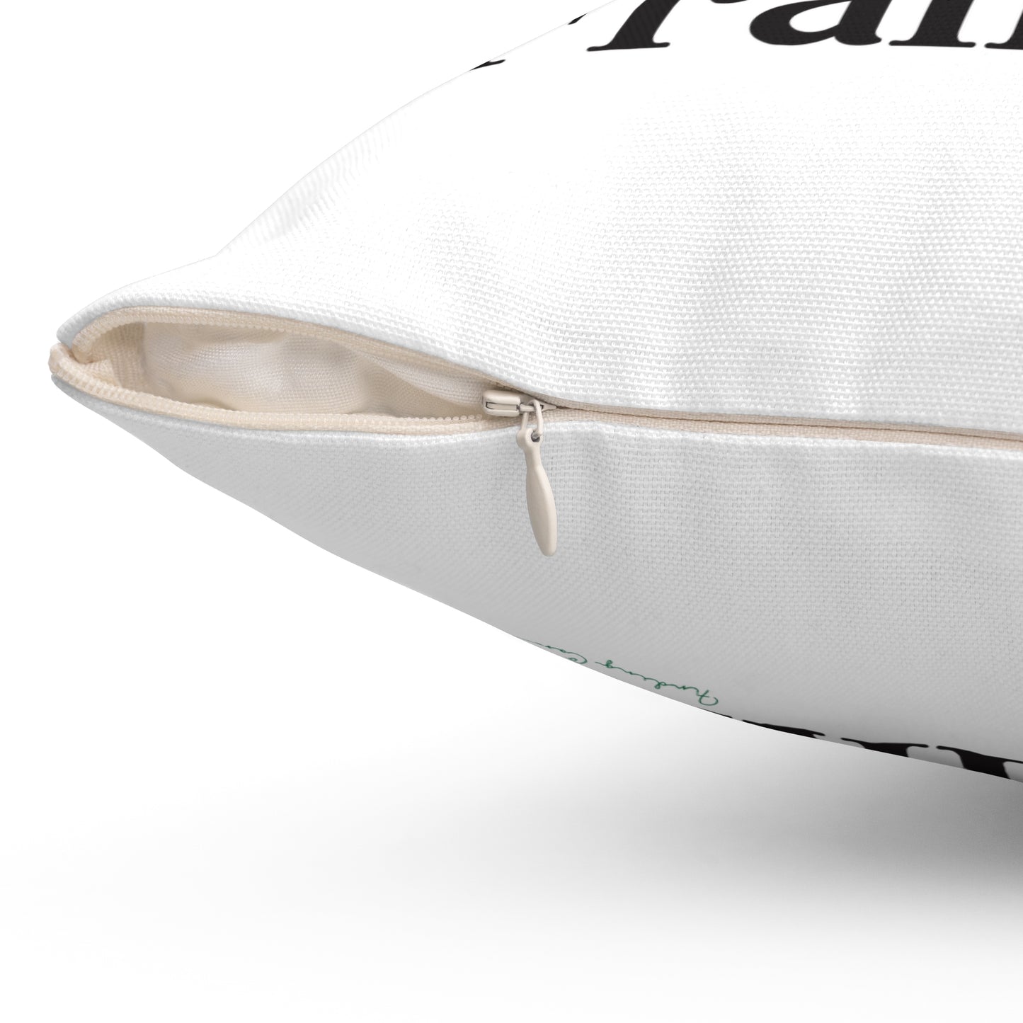 I Clover Franklin Spun Polyester Square Pillow