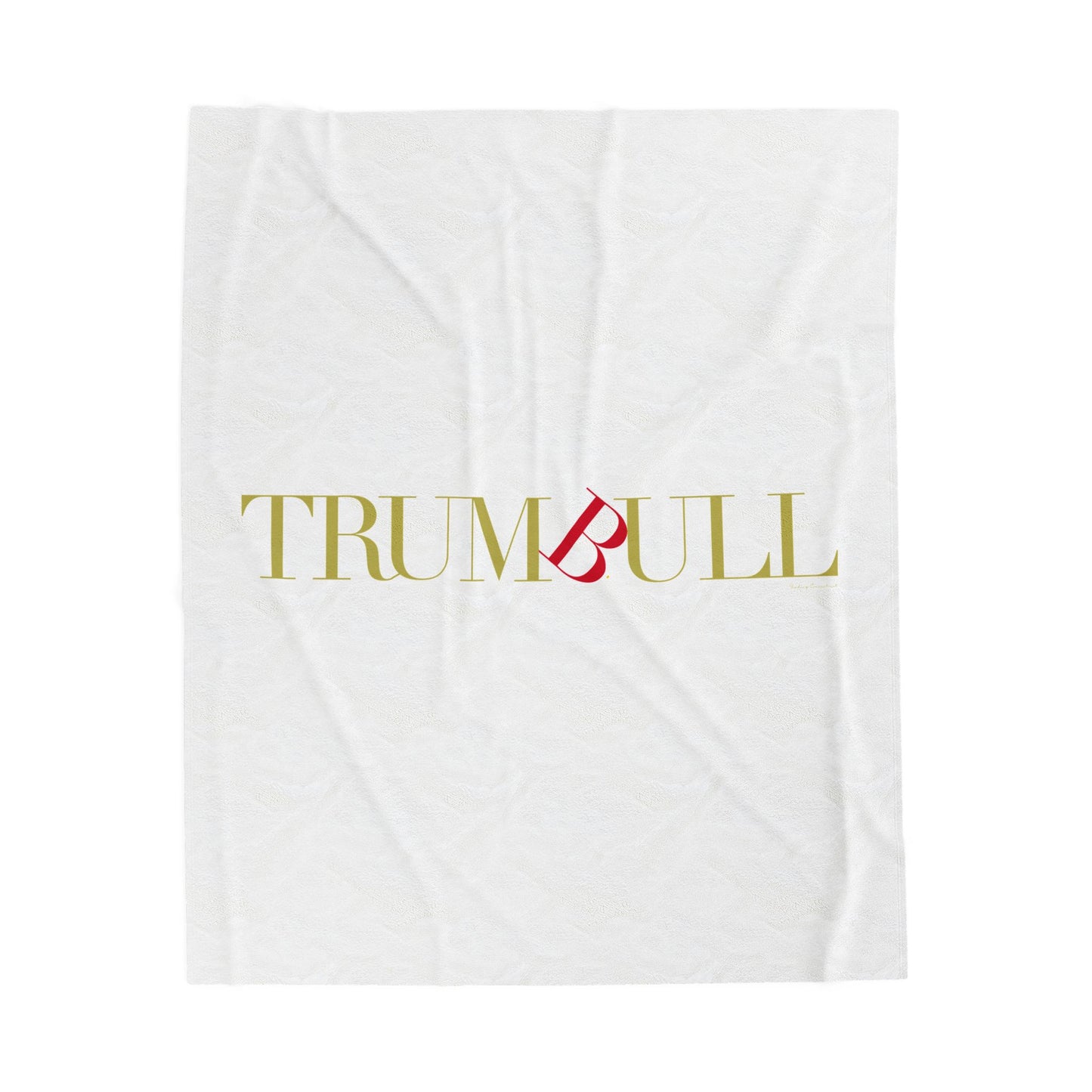 41 Tilt Trumbull Velveteen Plush Blanket