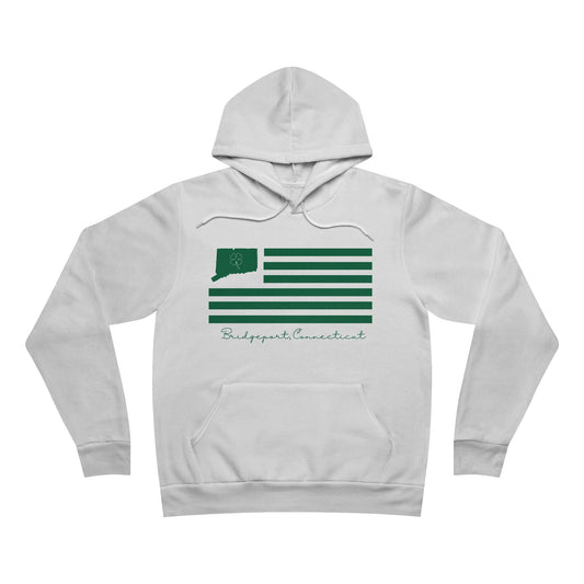 Bridgeport Connecticut St Patrick's Day Flag Unisex Sponge Fleece Pullover Hoodie