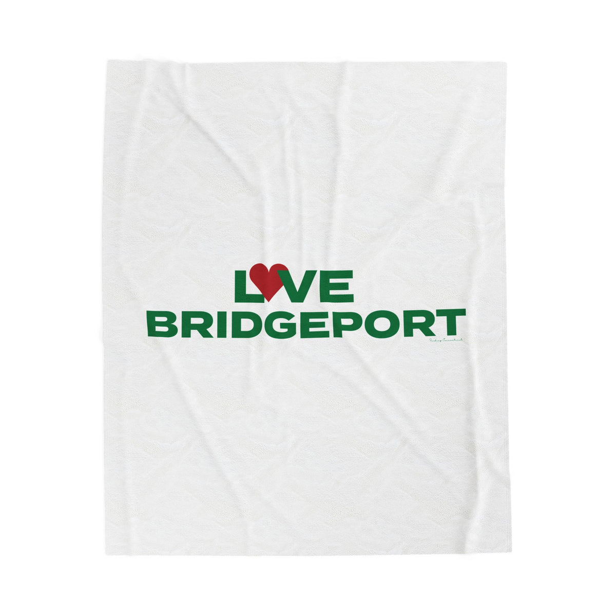 Love Bridgeport Velveteen Plush Blanket