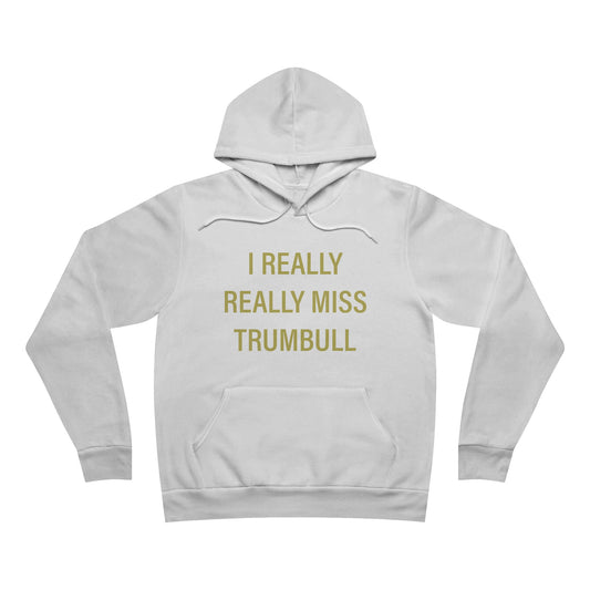 I Really Really Miss Trumbull Unisex Sponge Fleece Pullover Hoodie