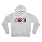06801 Bethel Connecticut Zip Code Unisex Sponge Fleece Pullover Hoodie