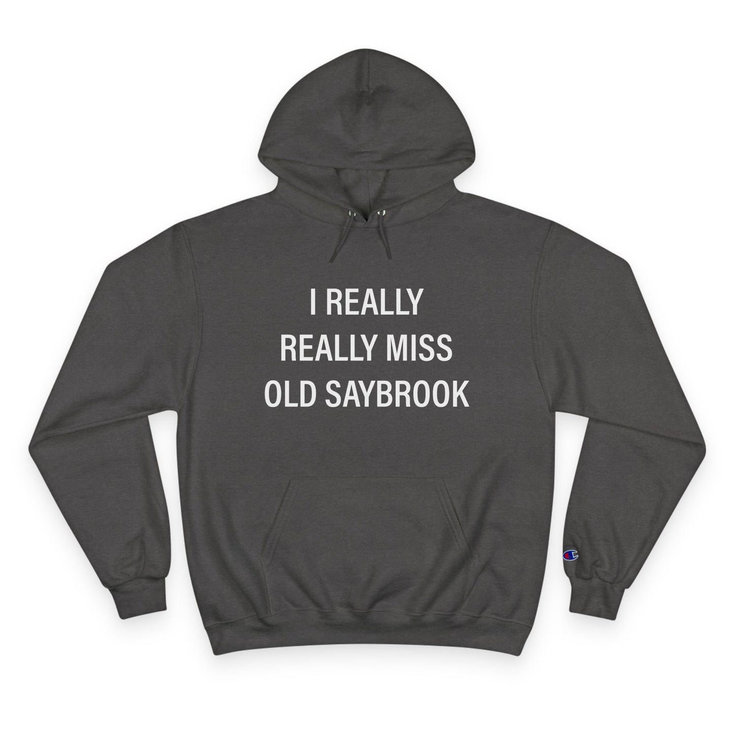 I Really Really Miss Old Saybrook Champion Hoodie