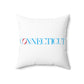 41 Tilt Connecticut Spun Polyester Square Pillow