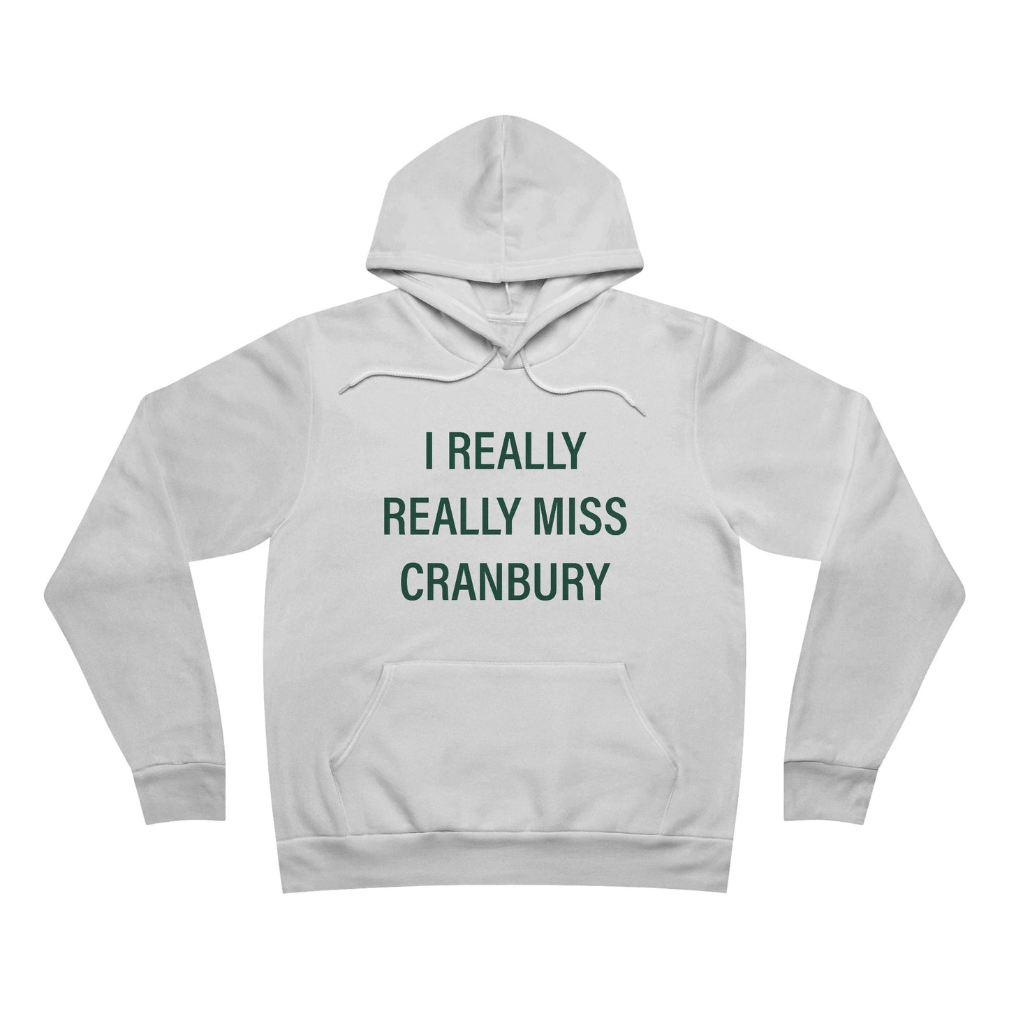 I Really Really Miss Cranbury Unisex Sponge Fleece Pullover Hoodie