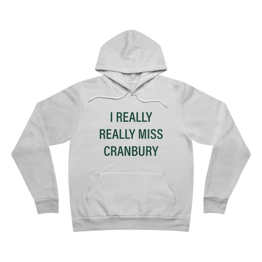 I Really Really Miss Cranbury Unisex Sponge Fleece Pullover Hoodie