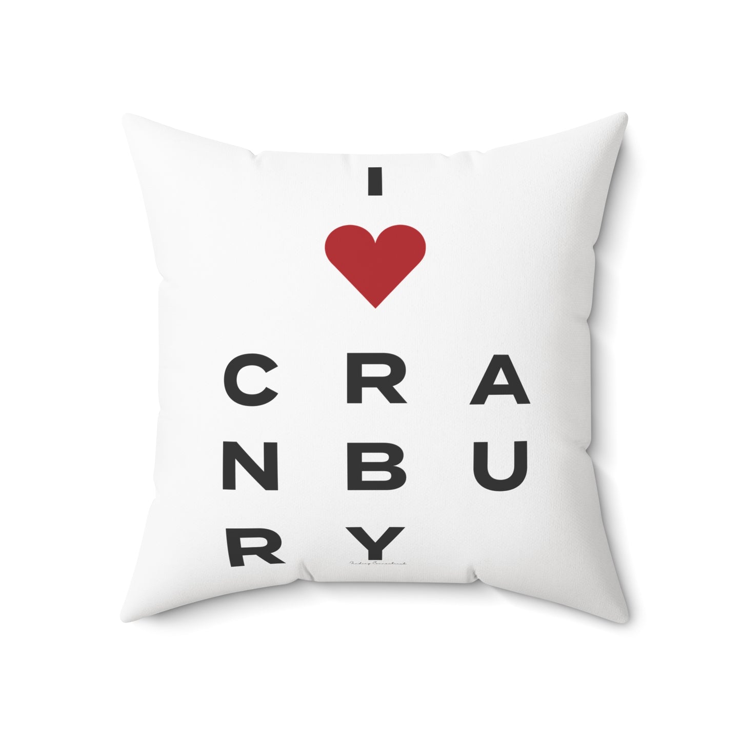 Cranbury Vision Spun Polyester Square Pillow