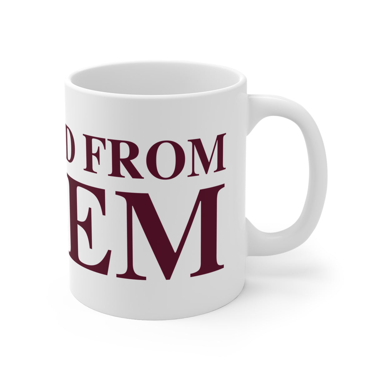 Just a kid from Salem  Mug 11oz