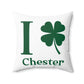I Clover Chester Spun Polyester Square Pillow