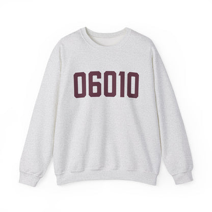 06010 Bristol Connecticut Zip Code Heavy Blend™ Crewneck Sweatshirt