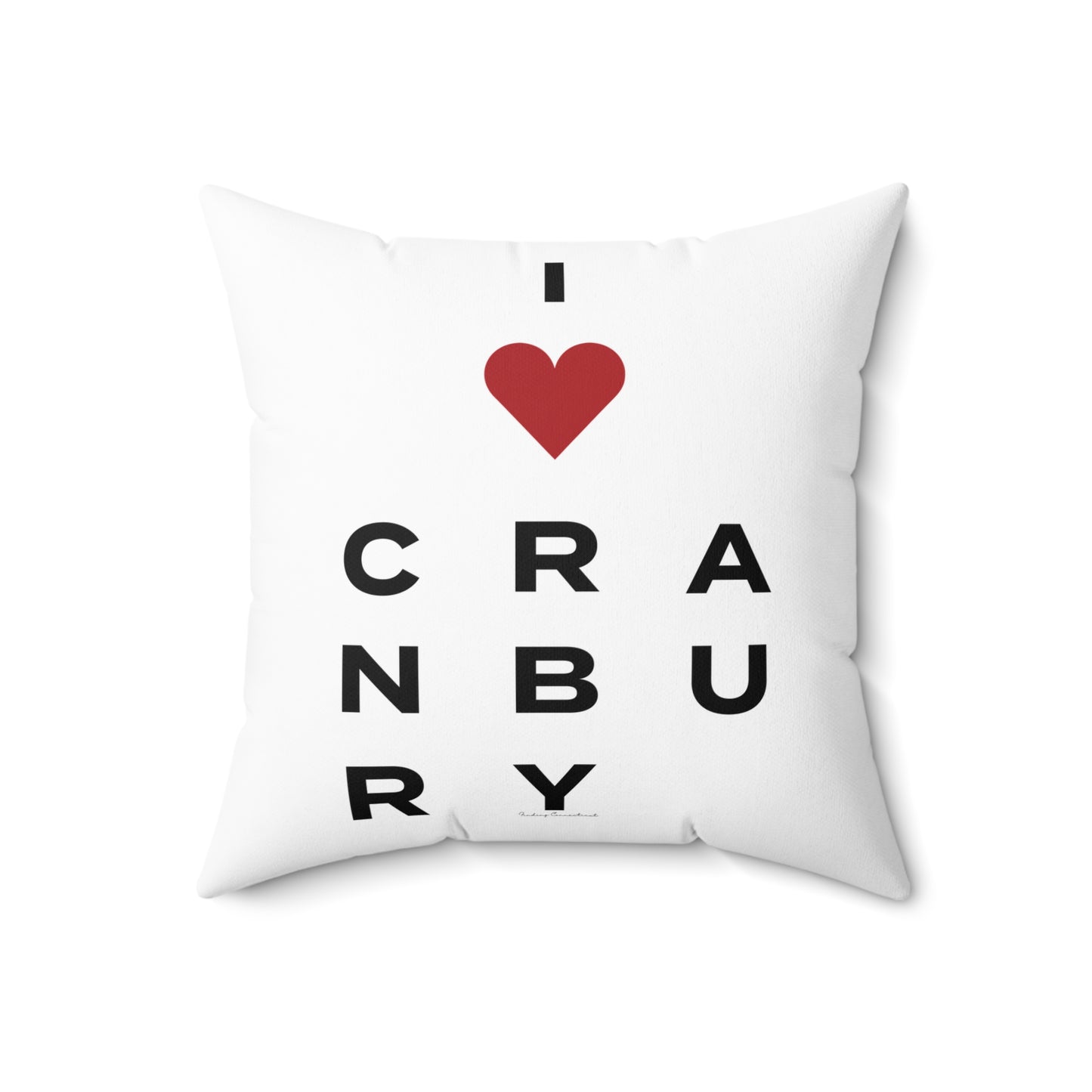 Cranbury Vision Spun Polyester Square Pillow