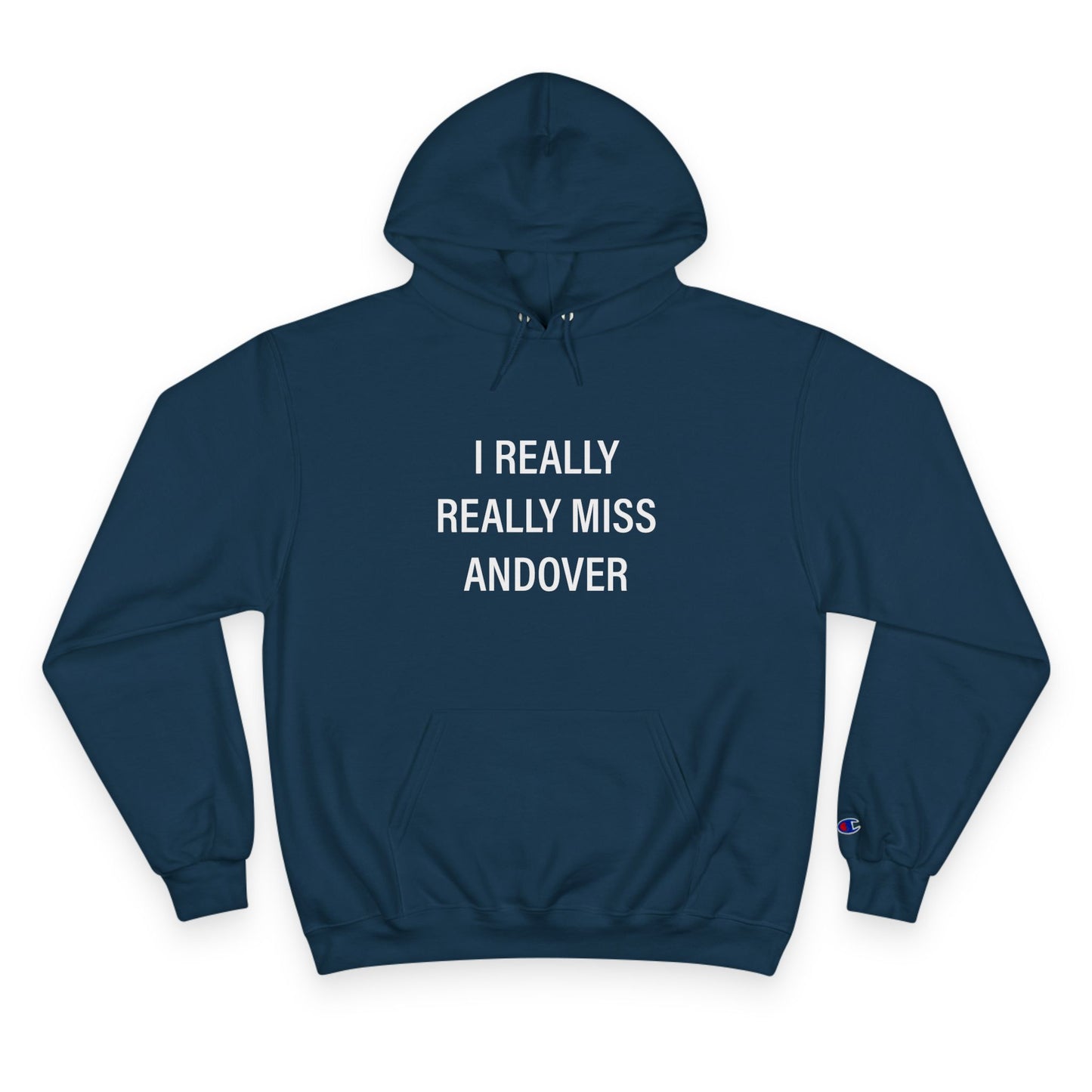 I Really Really Miss Andover Champion Hoodie