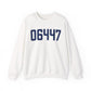 06447 Marlborough Connecticut Zip Code Heavy Blend™ Crewneck Sweatshirt