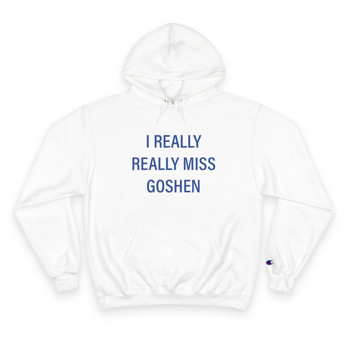 I Really Really Miss Goshen Champion Hoodie