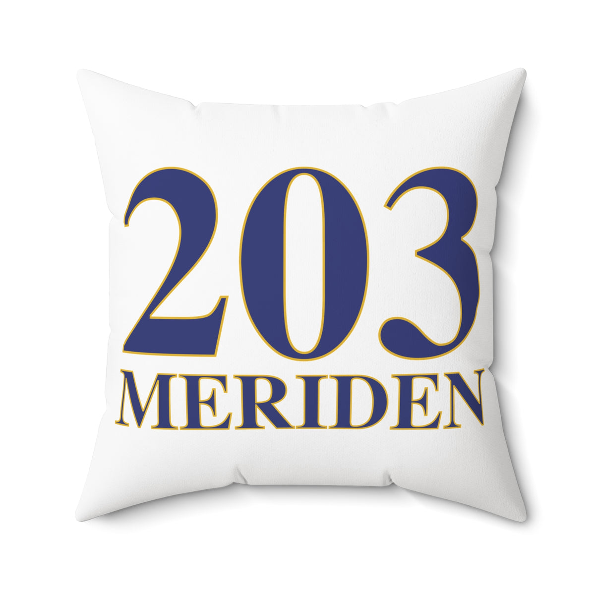 203 Meriden Polyester Square Pillow