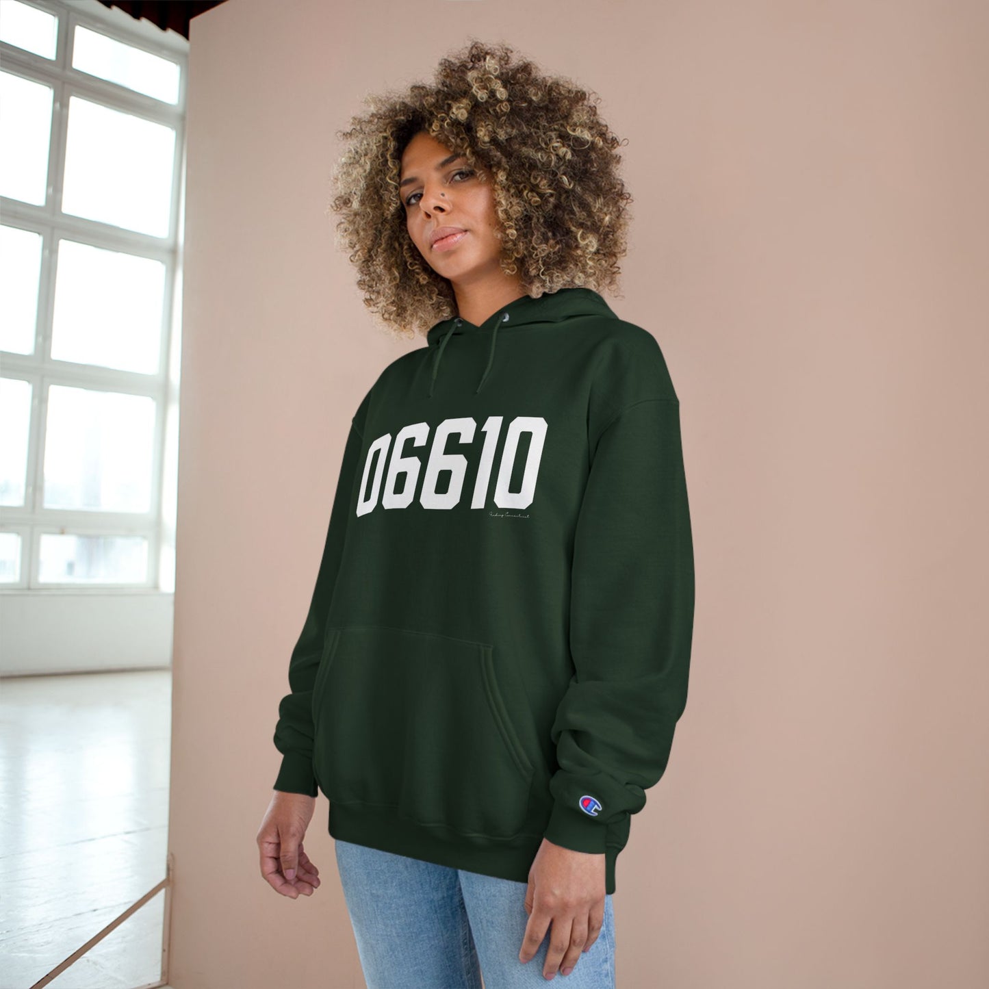 06610  Bridgeport CT Zip Code Champion Hoodie Sweatshirt