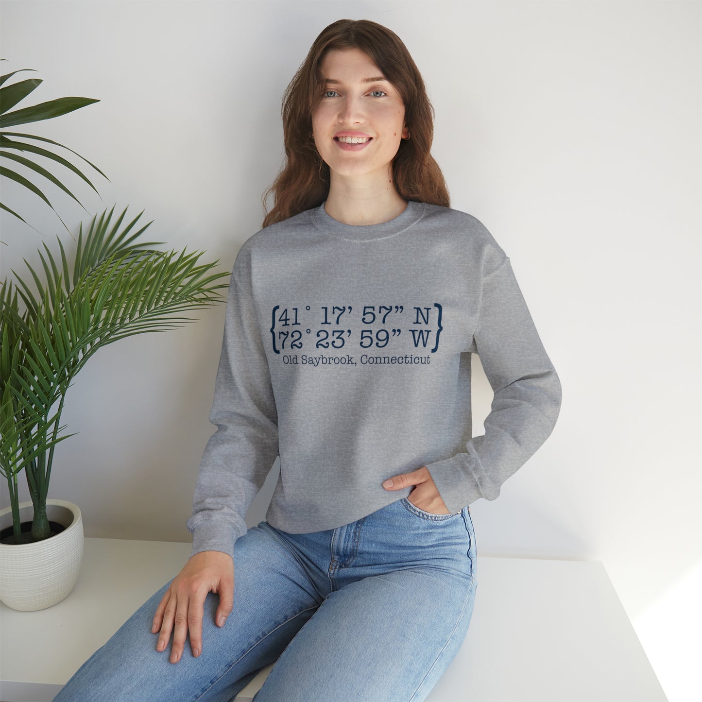 Old Saybrook Coordinates Unisex Heavy Blend™ Crewneck Sweatshirt