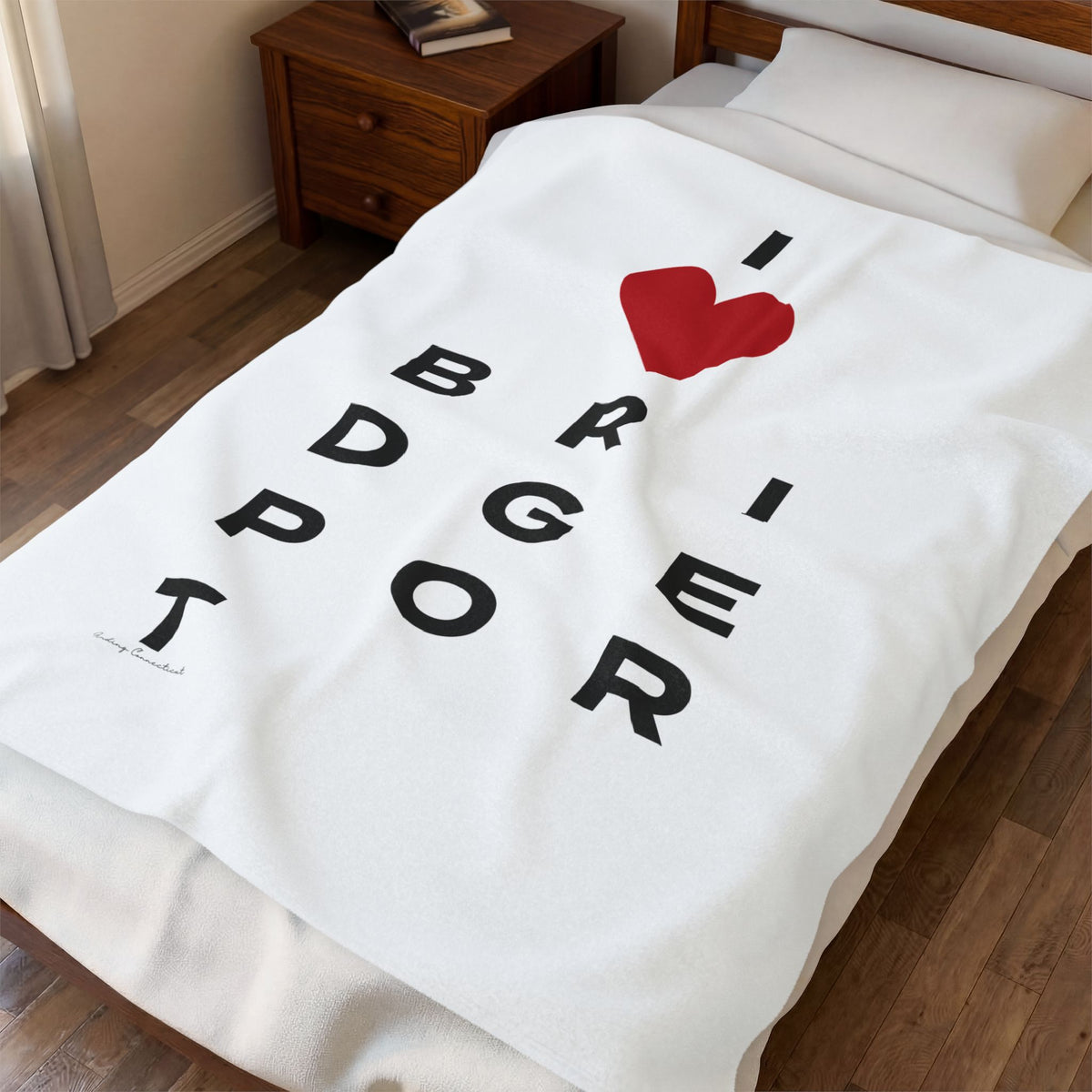 Bridgeport Vision Velveteen Plush Blanket