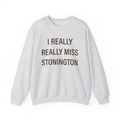 I Really Really Miss Stonington Unisex Heavy Blend™ Crewneck Sweatshirt