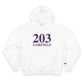203 Fairfield Red White and Blue Champion Hoodie