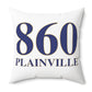 860 Plainville Polyester Square Pillow