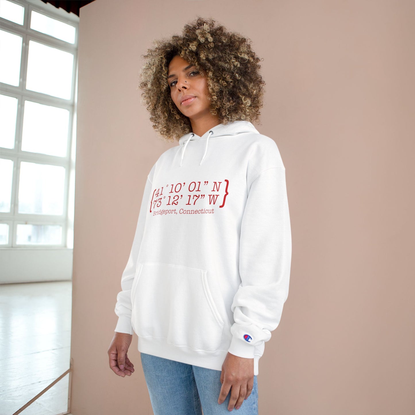 Bridgeport Coordinates Champion Hoodie Sweatshirt
