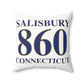 Salisbury 860 Connecticut Polyester Square Pillow
