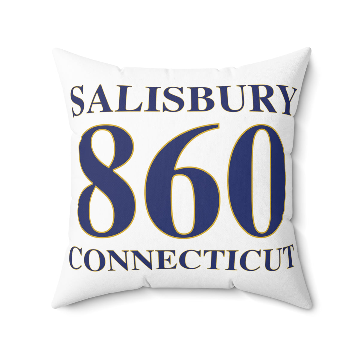Salisbury 860 Connecticut Polyester Square Pillow