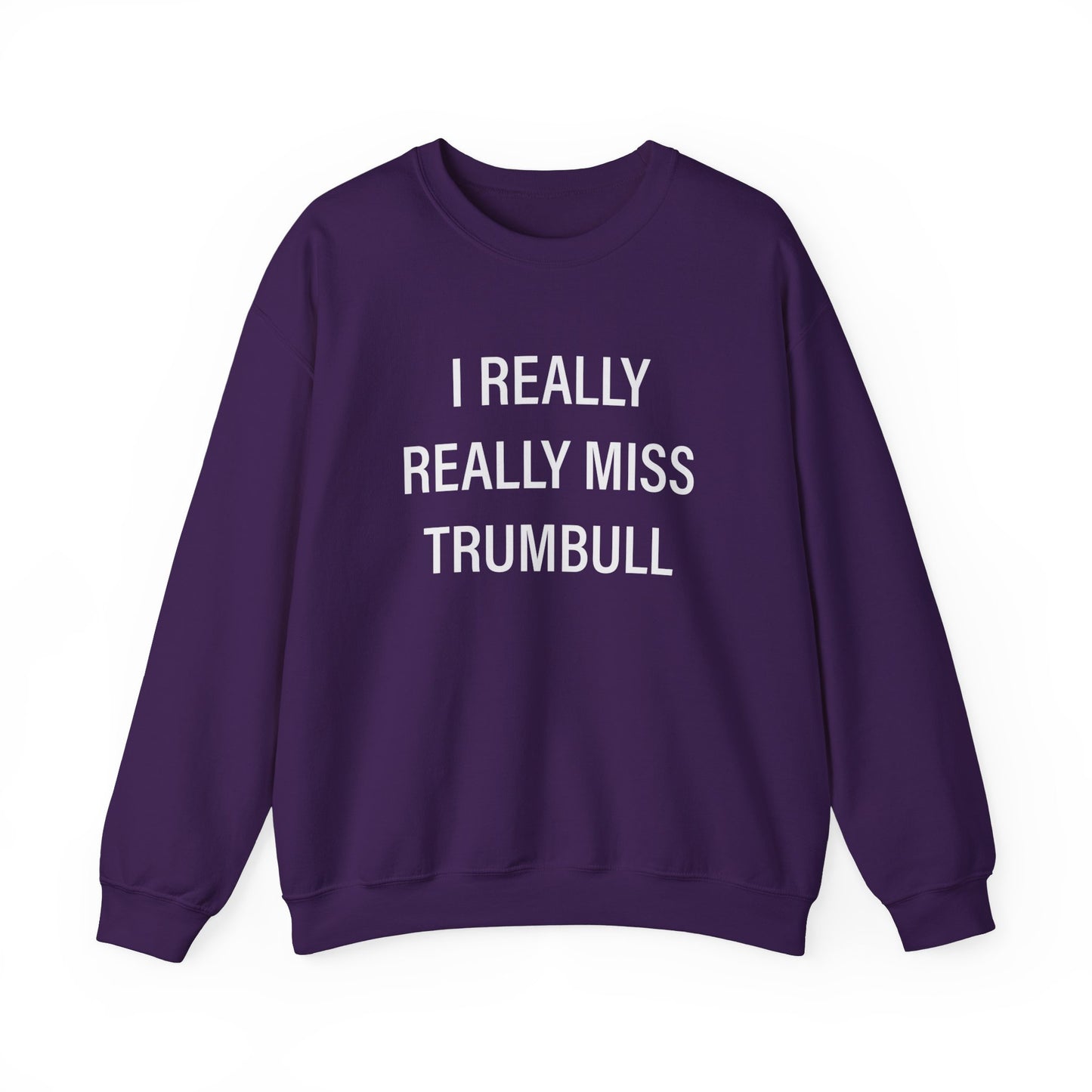 I Really Really Miss Trumbull Unisex Heavy Blend™ Crewneck Sweatshirt