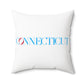 41 Tilt Connecticut Spun Polyester Square Pillow