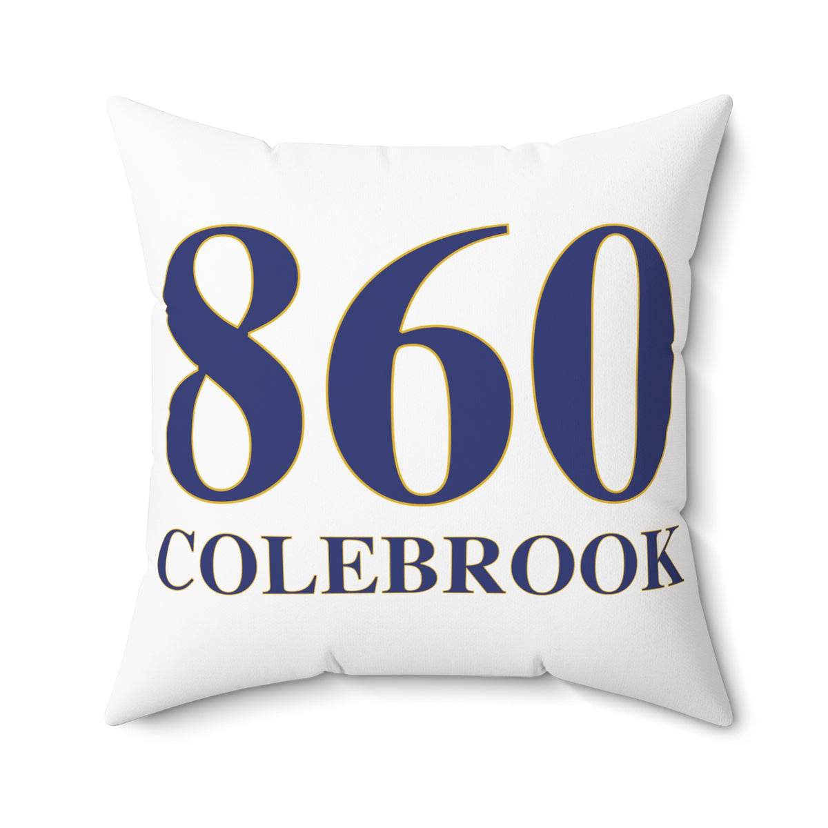 860 Colebrook Polyester Square Pillow