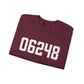 06248 Hebron CT Zip Code Unisex Heavy Blend™ Crewneck Sweatshirt