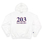 203 Danbury Red, White & Blue Champion Hoodie