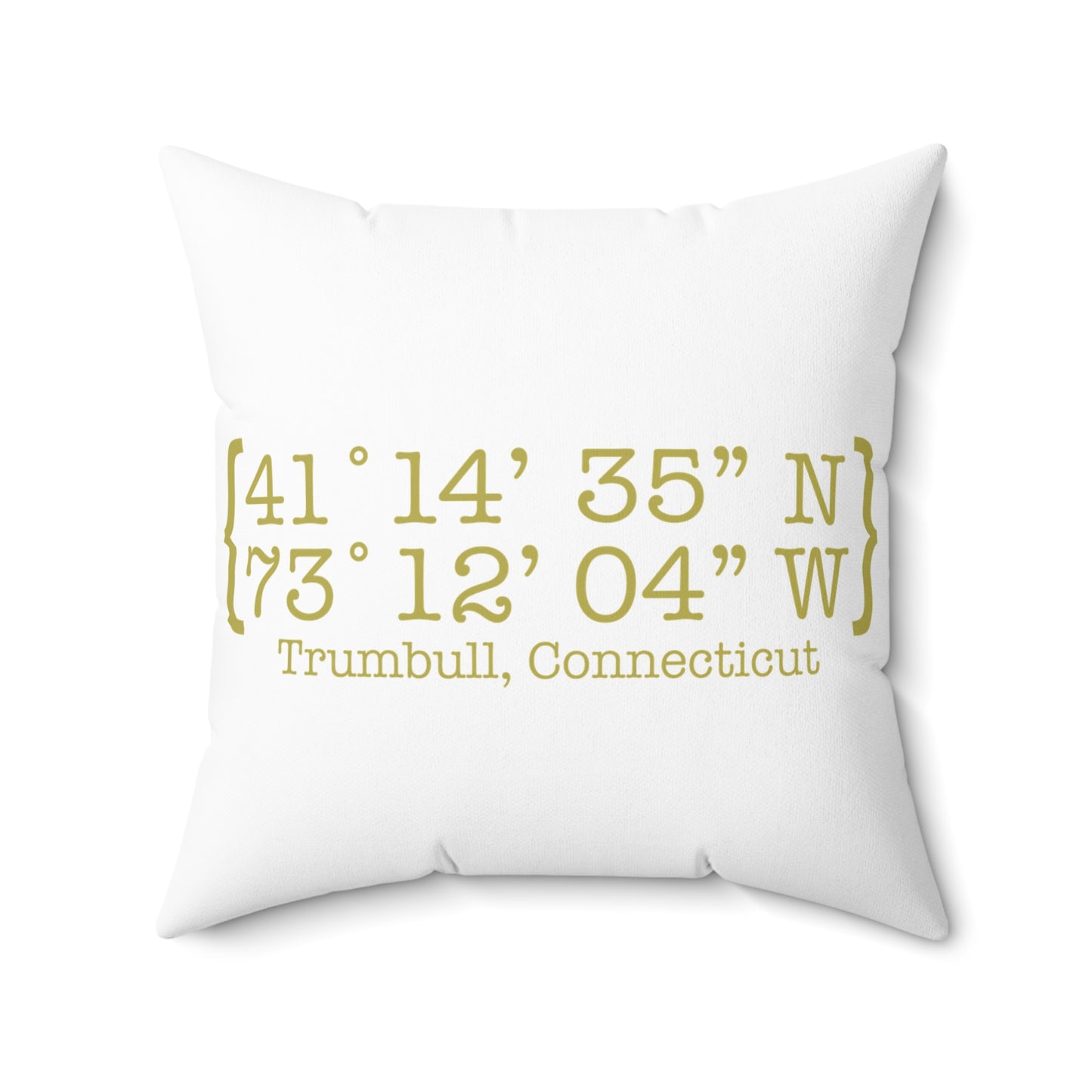 Trumbull Coordinates Spun Polyester Square Pillow