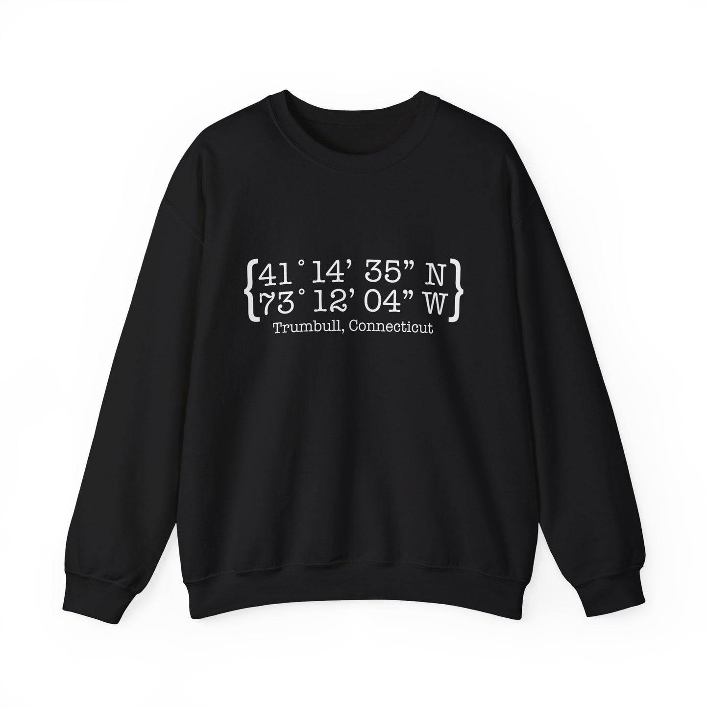 Trumbull Coordinates Unisex Heavy Blend™ Crewneck Sweatshirt