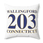 203 Wallingford Polyester Square Pillow