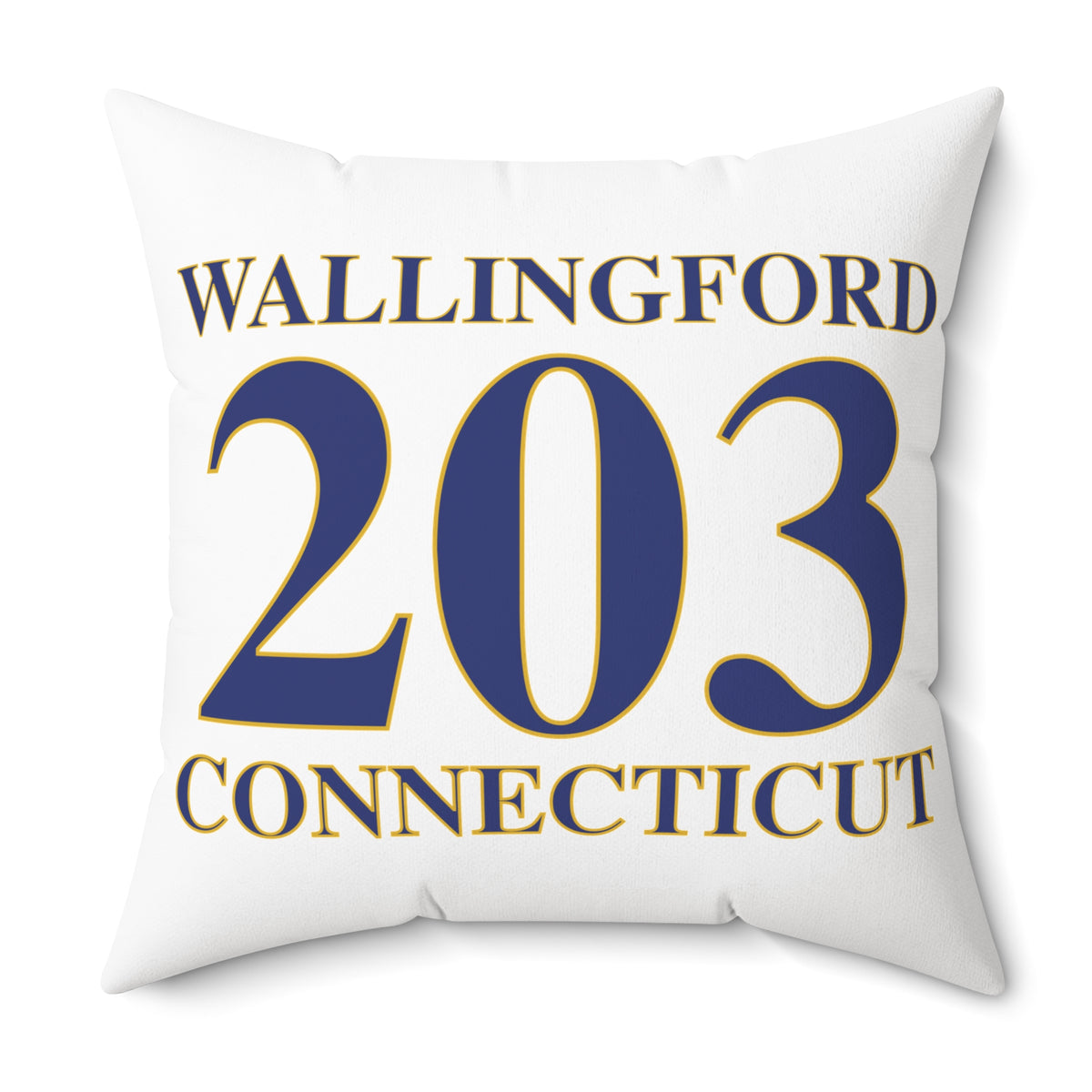 203 Wallingford Polyester Square Pillow