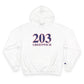 203 Greenwich Red, White & Blue Champion Hoodie