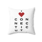Connecticut Vision Spun Polyester Square Pillow