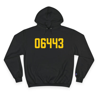06443 Madison Connecticut Zip Code Champion Hoodie