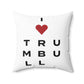Trumbull Vision Spun Polyester Square Pillow