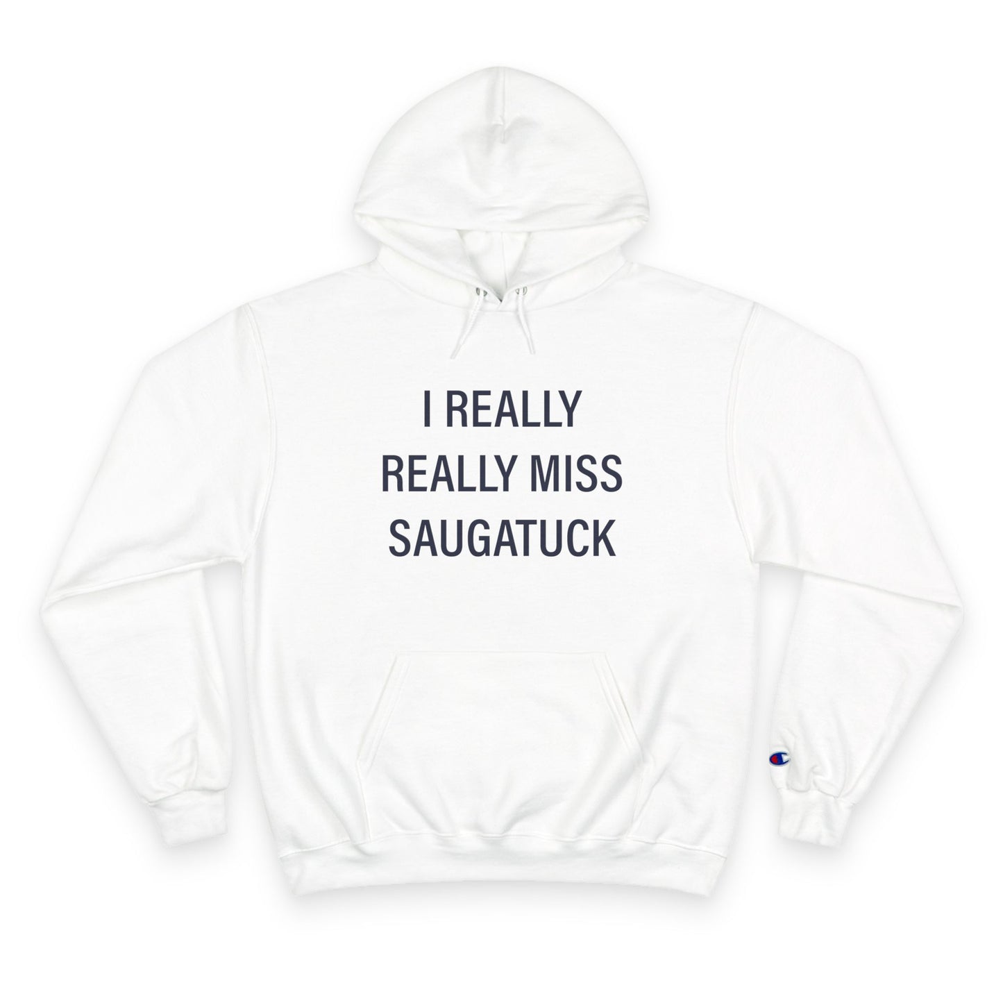 I Really Really Miss Saugatuck Champion Hoodie Sweatshirt