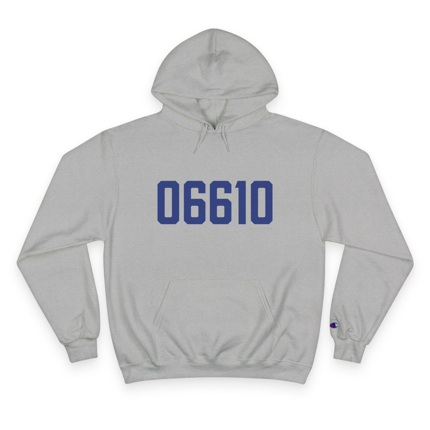 06610  Bridgeport Connecticut Zip Code Champion Hoodie Sweatshirt