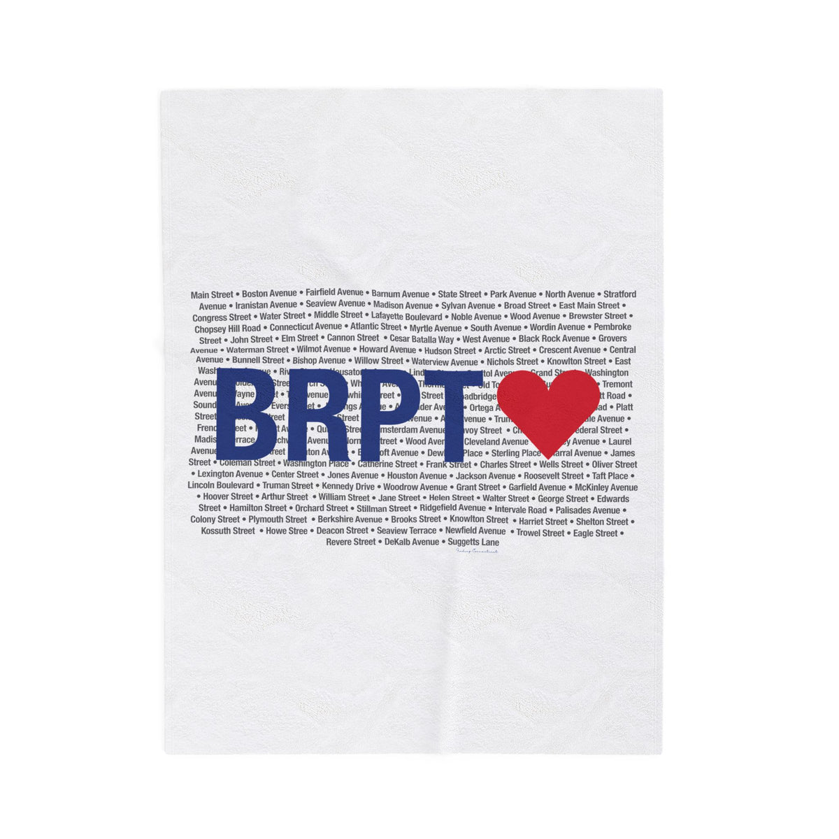 Bridgeport Love Velveteen Plush Blanket