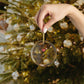 Danbury Vision Glass Ornaments