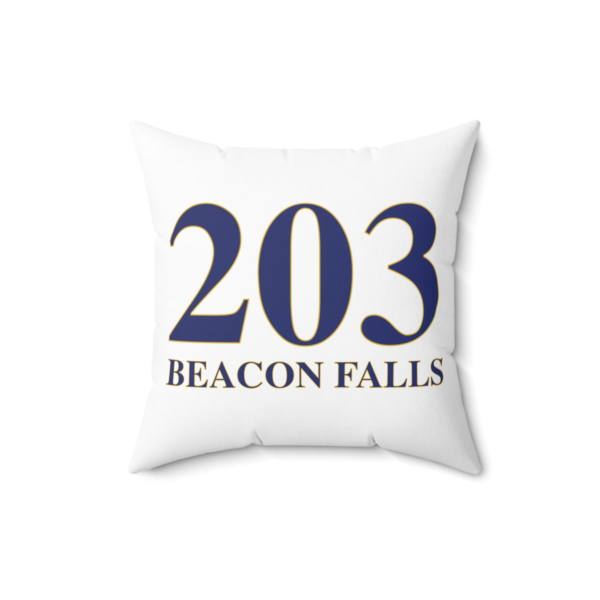 203 Beacon Falls Polyester Square Pillow