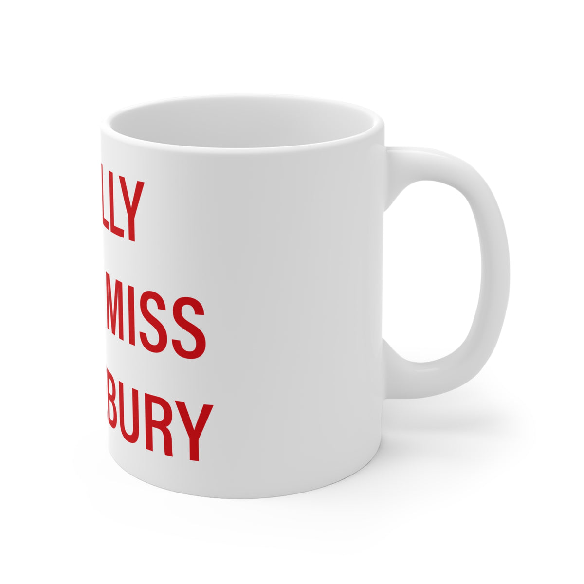 I Really Really Miss Middlebury Mug 11oz