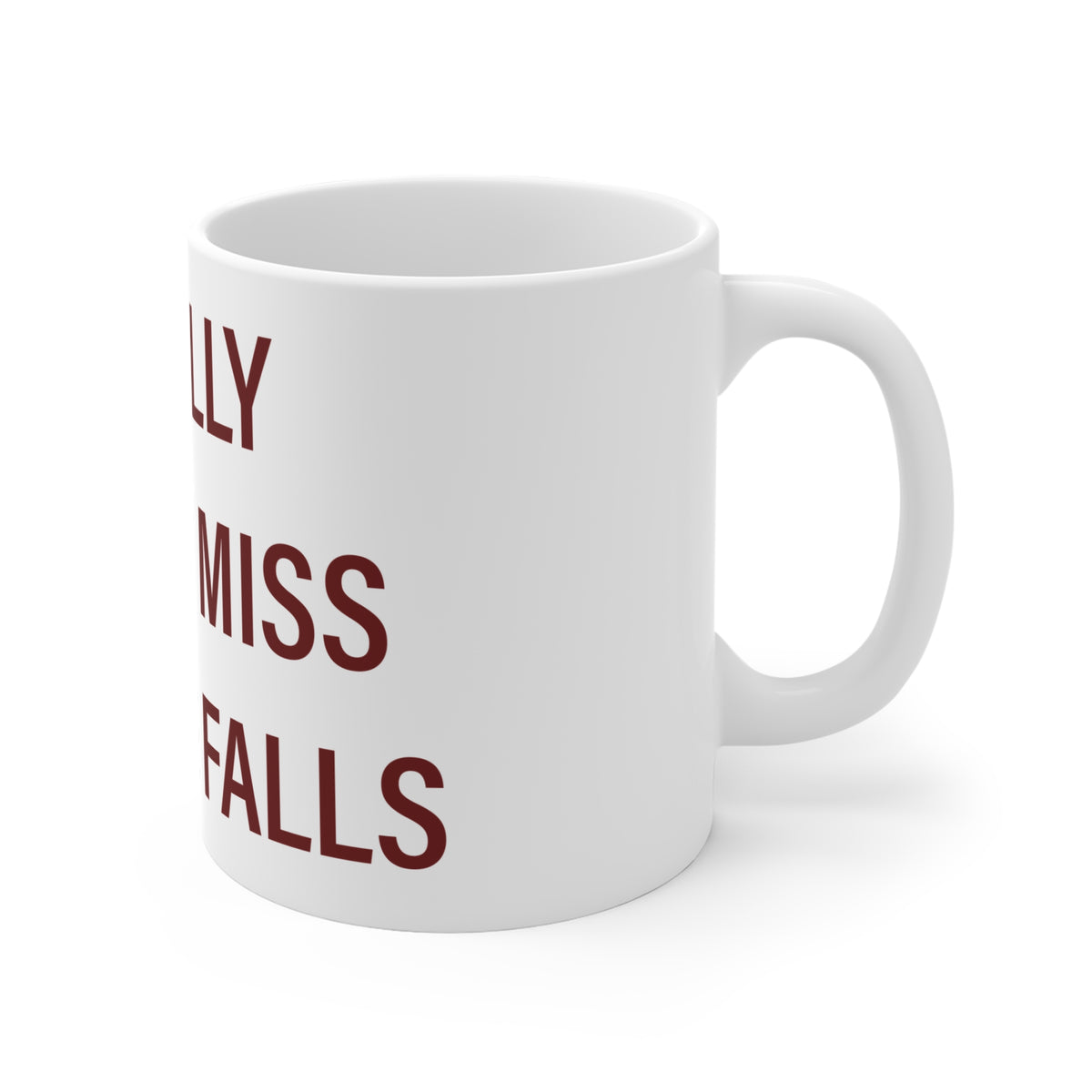 I Really Really Miss Beacon Falls Mug 11oz
